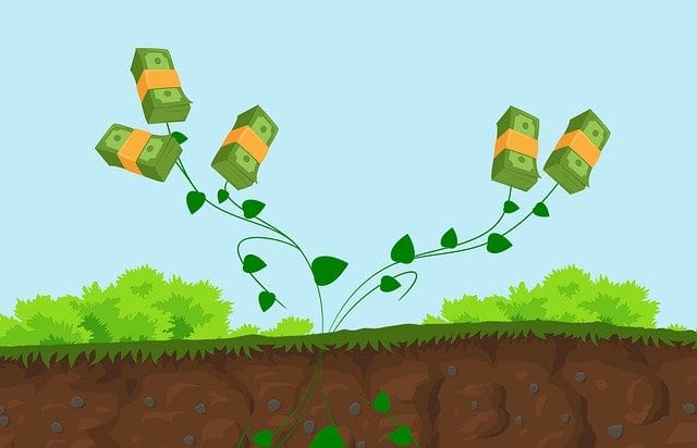 An illustration of money growing out of the ground that you can use in buying a house